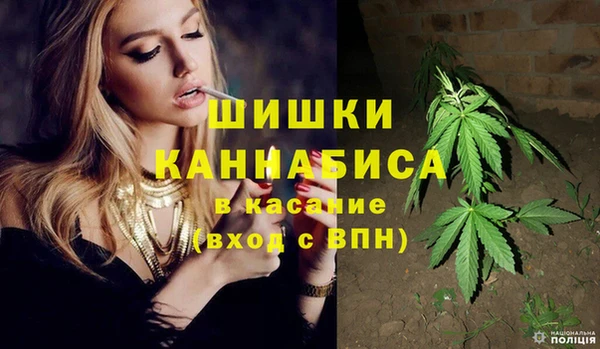 твердый Арсеньев