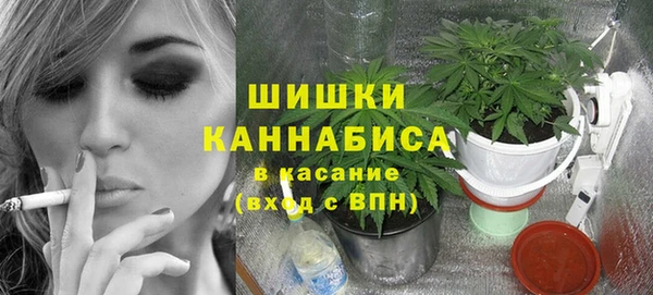 твердый Арсеньев