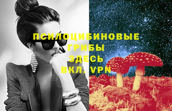 твердый Арсеньев