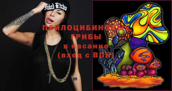 твердый Арсеньев